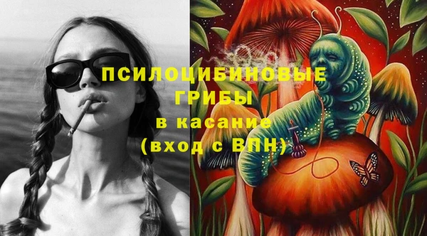 гидра Кинешма