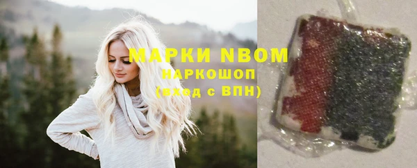 амф Козельск
