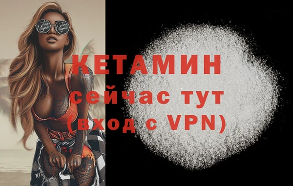 гидра Кинешма