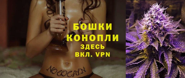 гидра Кинешма
