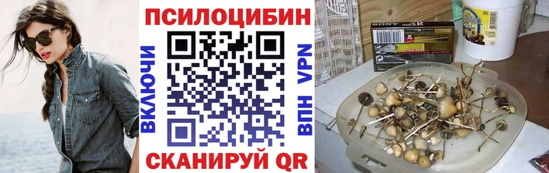 Псилоцибиновые грибы GOLDEN TEACHER  Кисловодск 