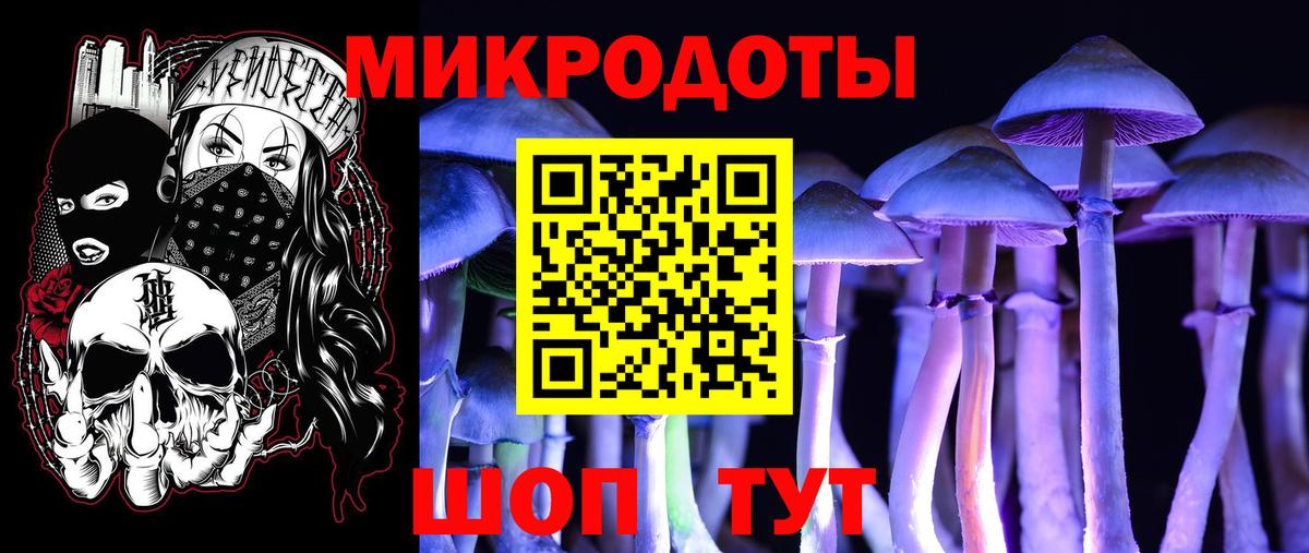 Псилоцибиновые грибы прущие грибы Кисловодск