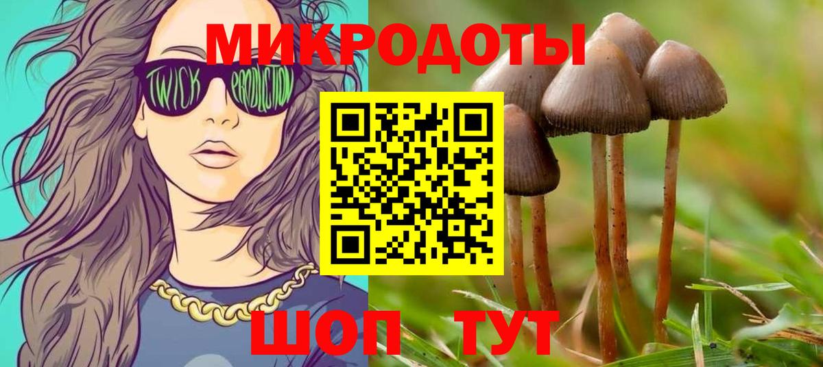 Кисловодск  Псилоцибиновые грибы прущие грибы  Псилоцибиновые грибы ЛСД  Вход с VPN 