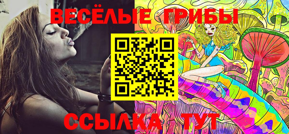 Галлюциногенные грибы Magic Shrooms  Кисловодск 